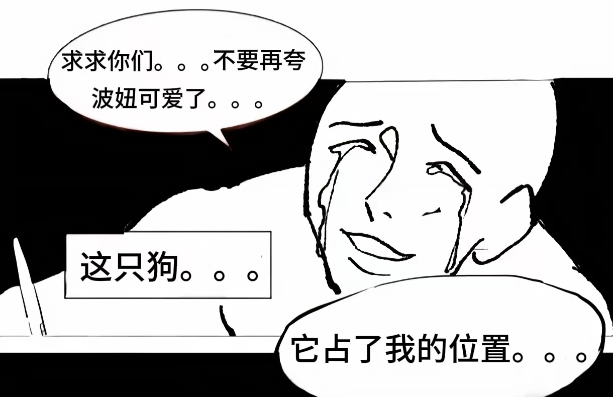 它占了我的位置。。。。 