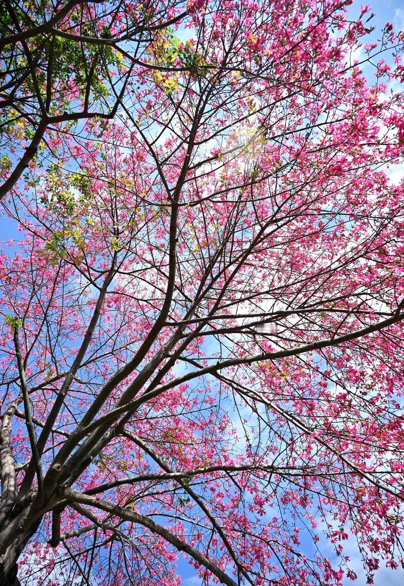 深圳这波操作太秀了！垃圾掩埋场直接升级成数创智谷，科技治污就是牛！环境越来越好，