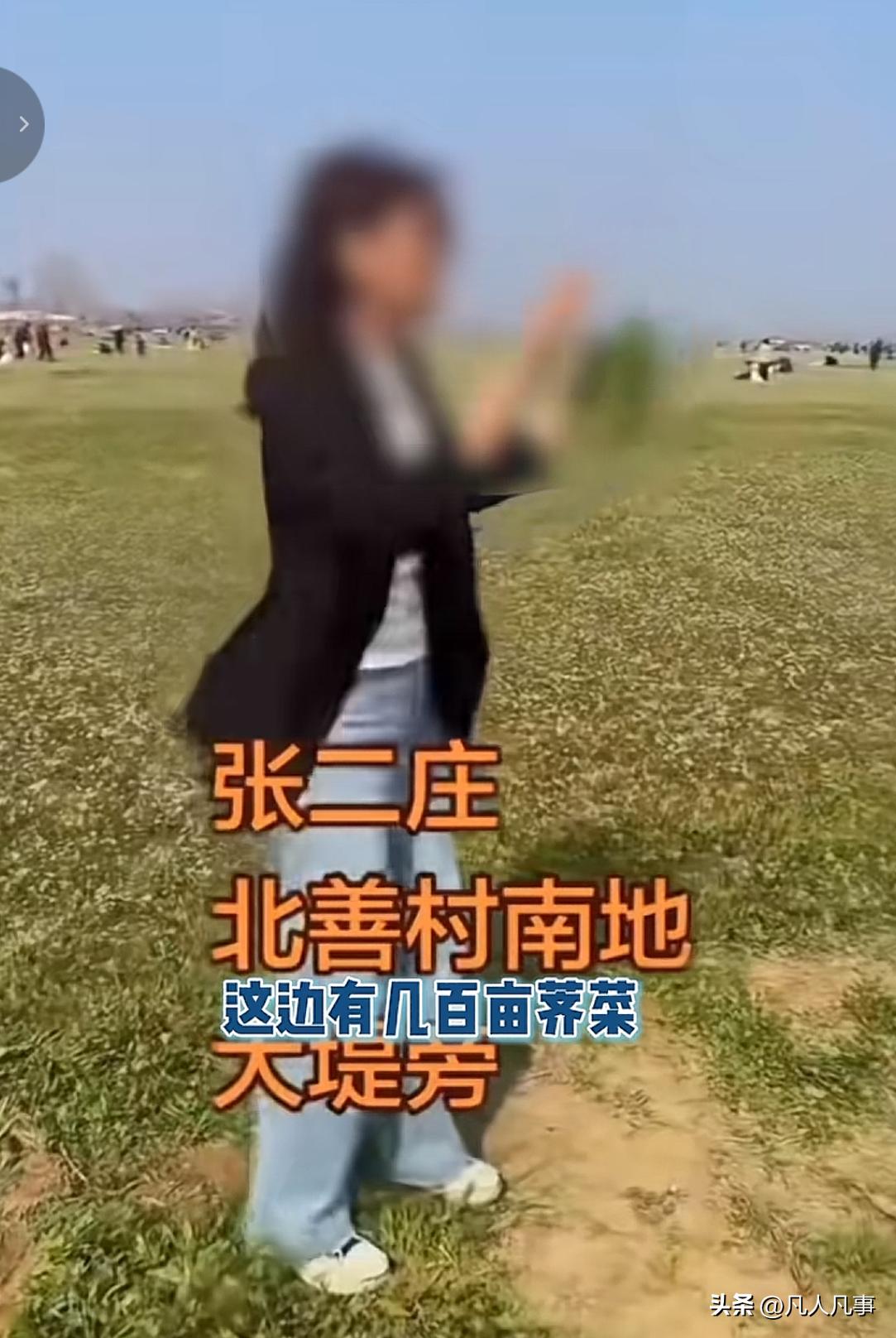 200亩的荠菜，被闻风而来的上万人一扫而空，种植户看着光秃秃的菜地，失声痛哭，几