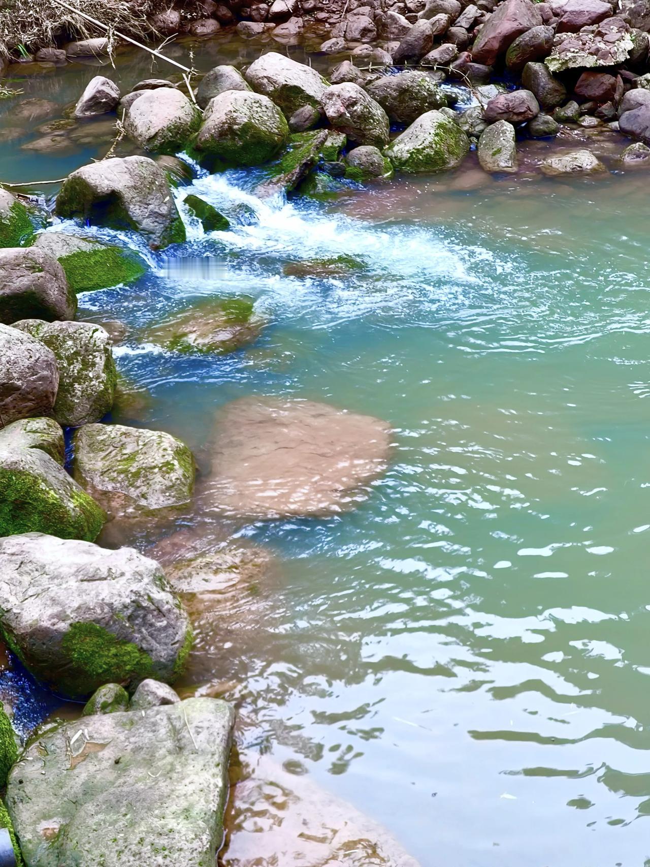 重庆身边事这个地方号称“小川西🌙，你去过吗？。3月21日，我是江津区音乐文学学