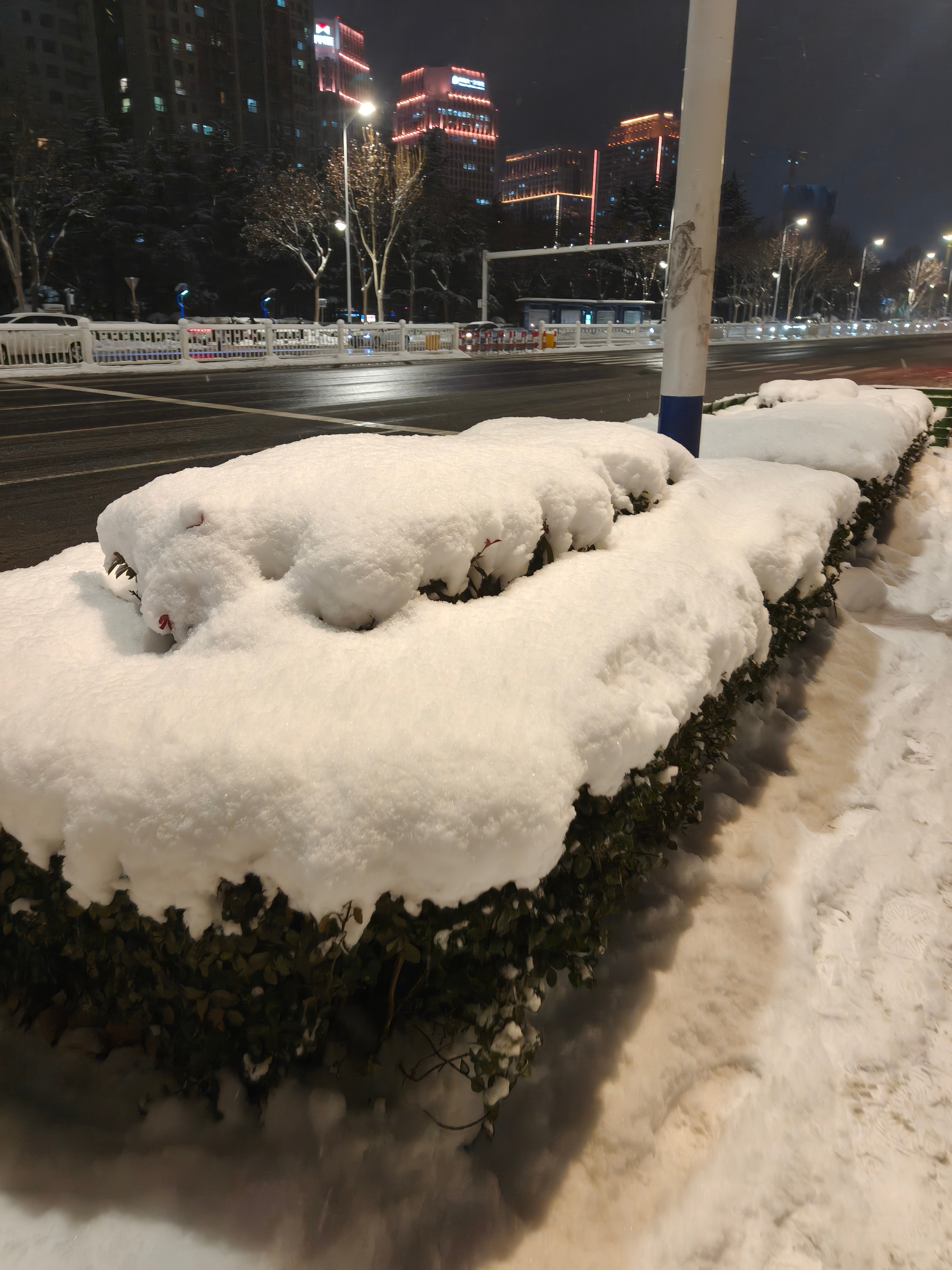 烟台的雪真的是说下就下，预报小雪，结果这样的 