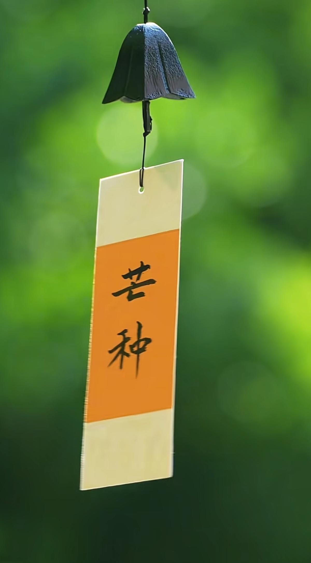藏在古诗词中的“芒种”你知道多少？
时逢“芒种”，秧绿麦香，耕耘自有收获。