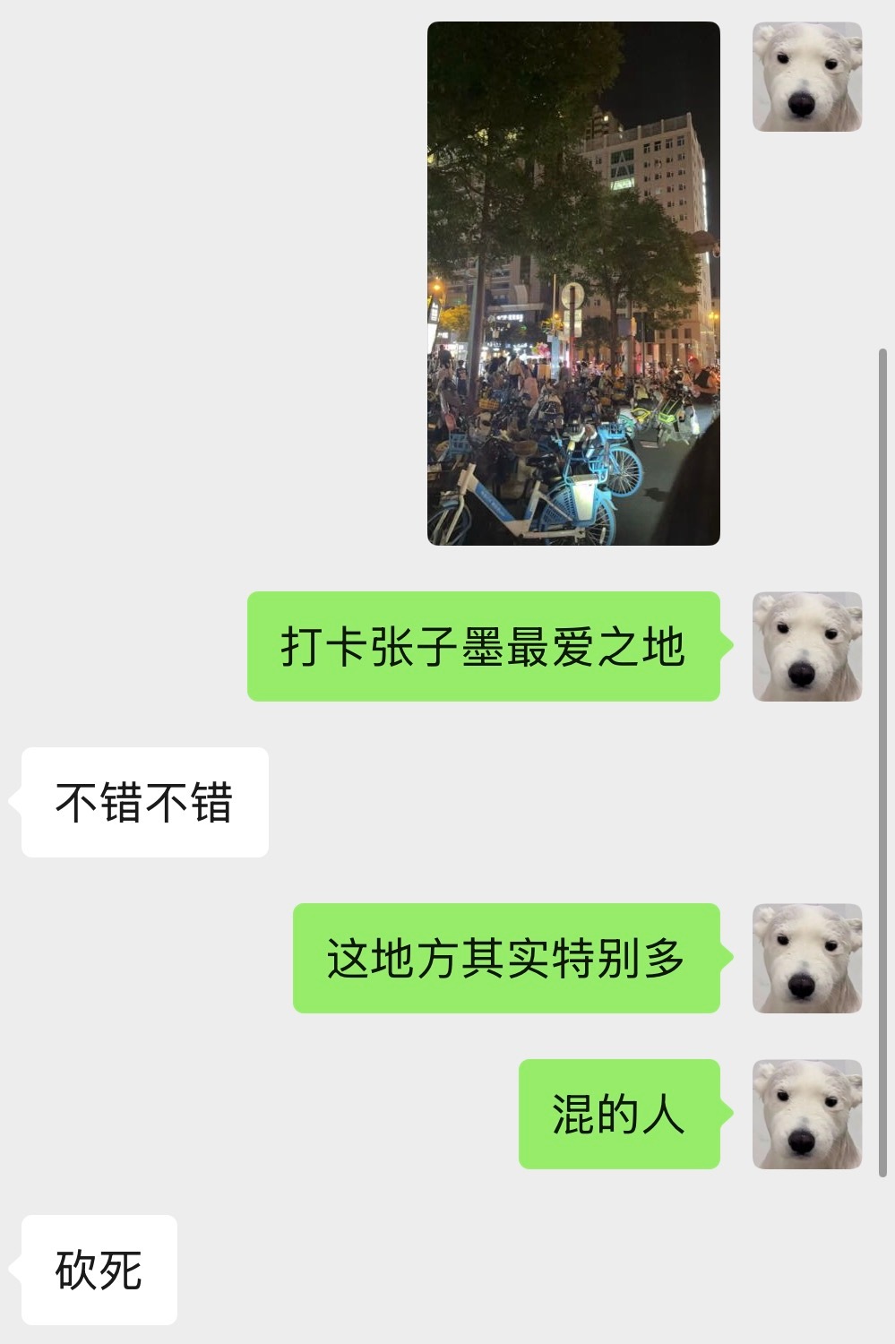 分享图片 
