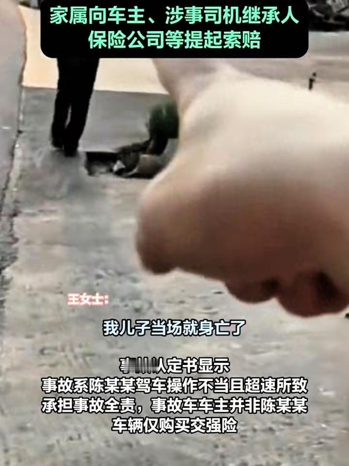 祖孙被超速车辆撞身亡 司机病逝后家属向多方索赔：2025年2月，湖南攸县陈某某超