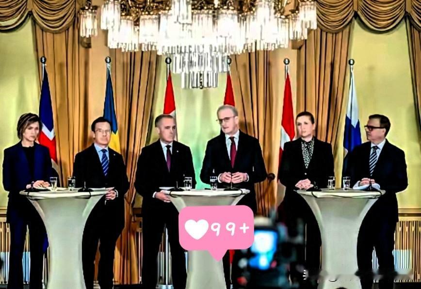  奥斯陆重磅！

加拿大领头，六国敲定国防+北极合作协议

3月15日的奥斯陆，