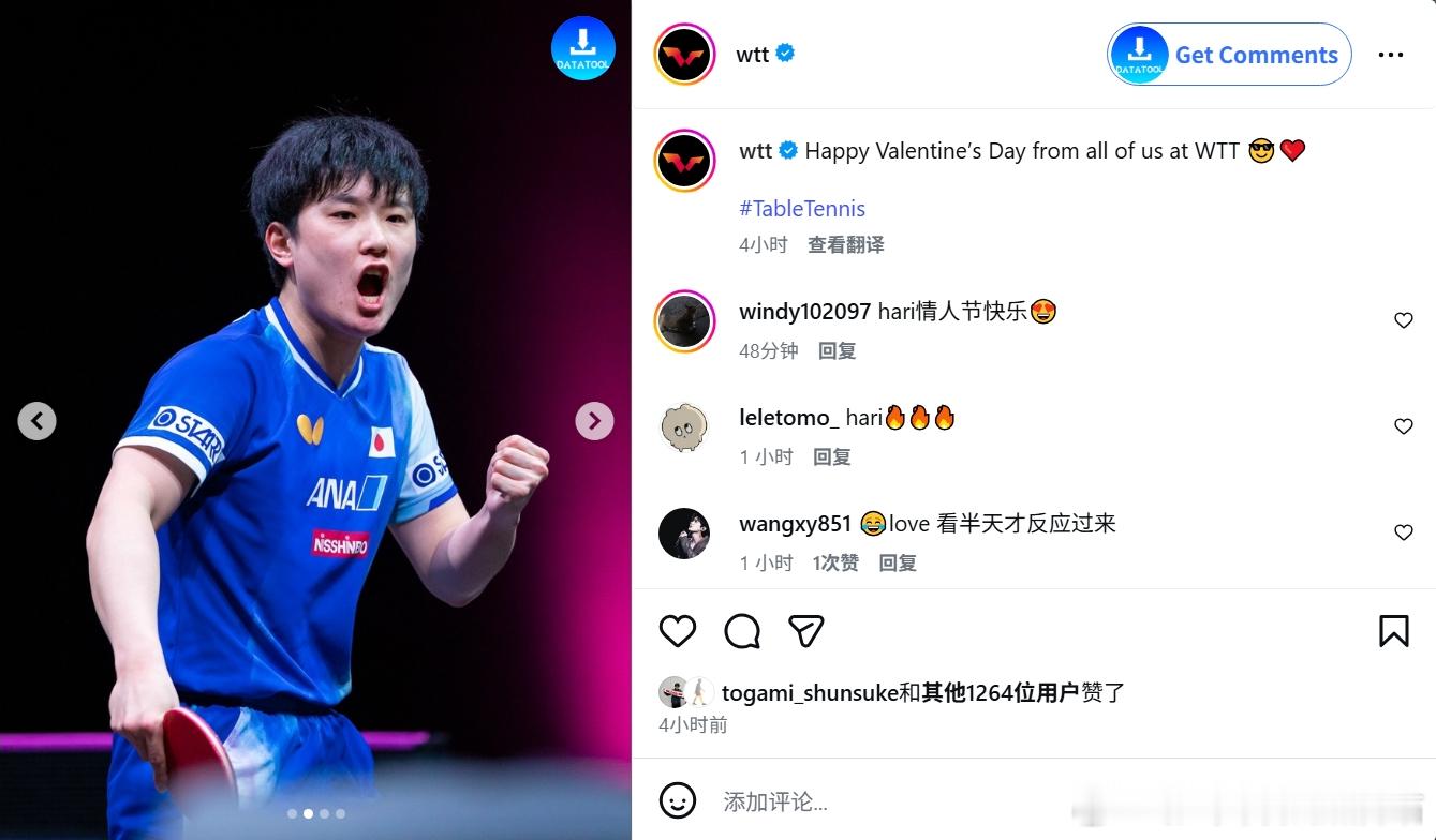 张本智和其它 260214 WTT庆祝情人节，选择了户上隼辅、张本智和、韩莹、迪