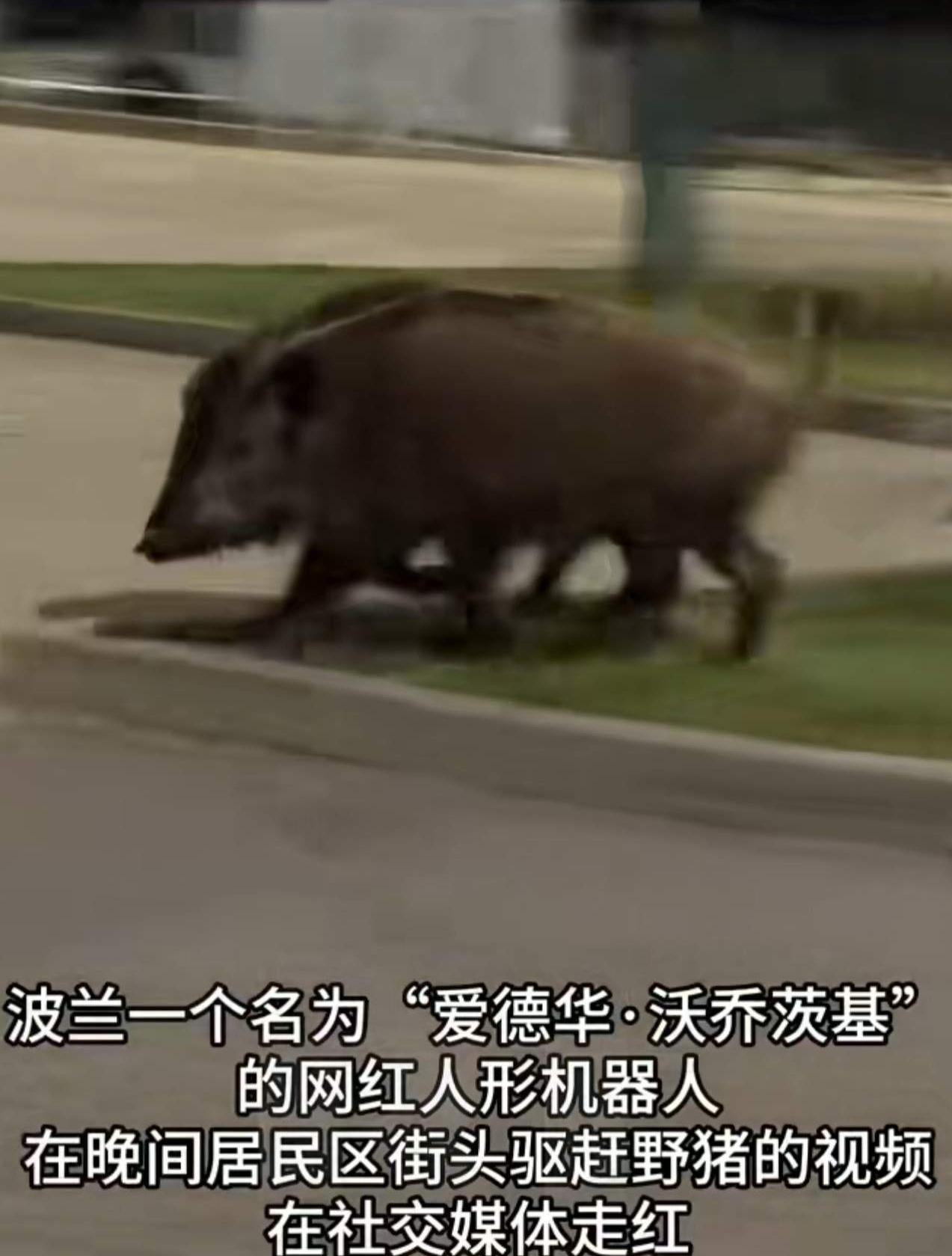 波兰有个名叫爱德华•沃乔茨基的人形机器人，是由中国企业宇树科技研发生产的G1型人