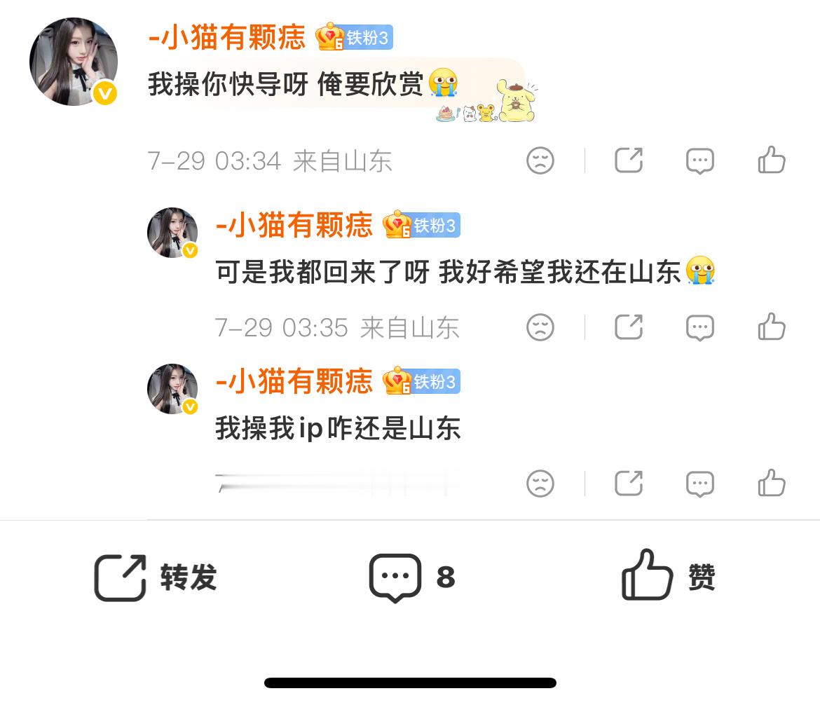 我想山东ip惹 