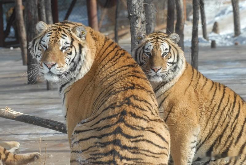 好多单位近亲繁殖，你赞同么国企单位近亲繁殖问题，不是现在才有，而是一直都有，原因