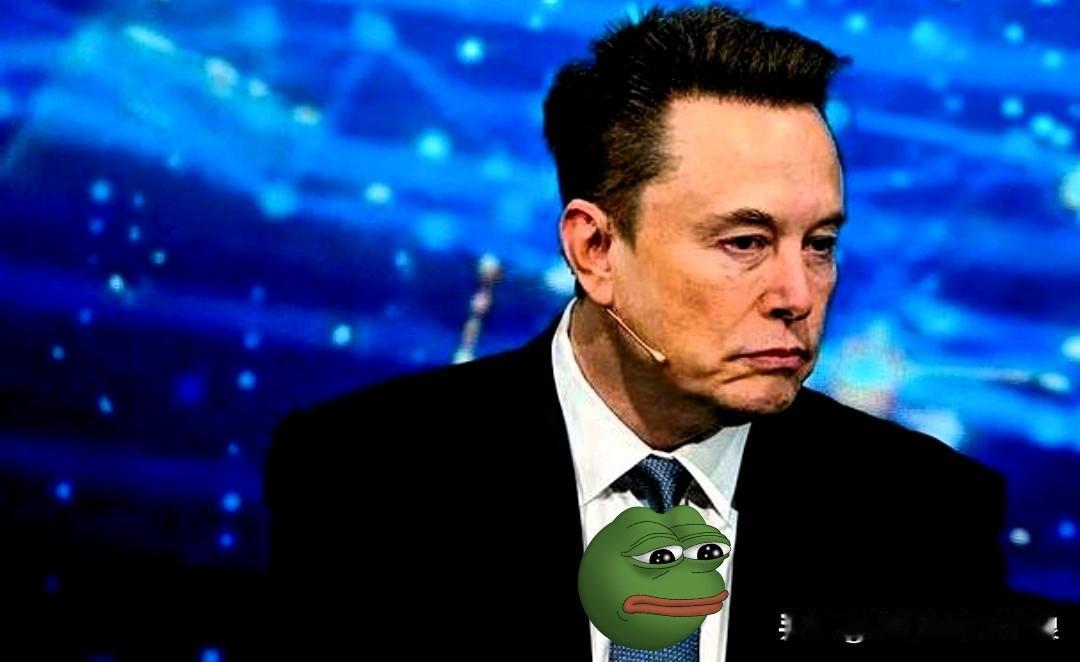 马斯克这一嗓子，算是彻底把“体面”给摔地上了。

那个造火箭、玩脑机接口的硅谷钢