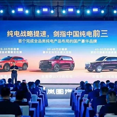 岚图决定猛搞纯电了，先研究前3，刺激电动兄弟 荷兰·阿姆斯特丹国际机场