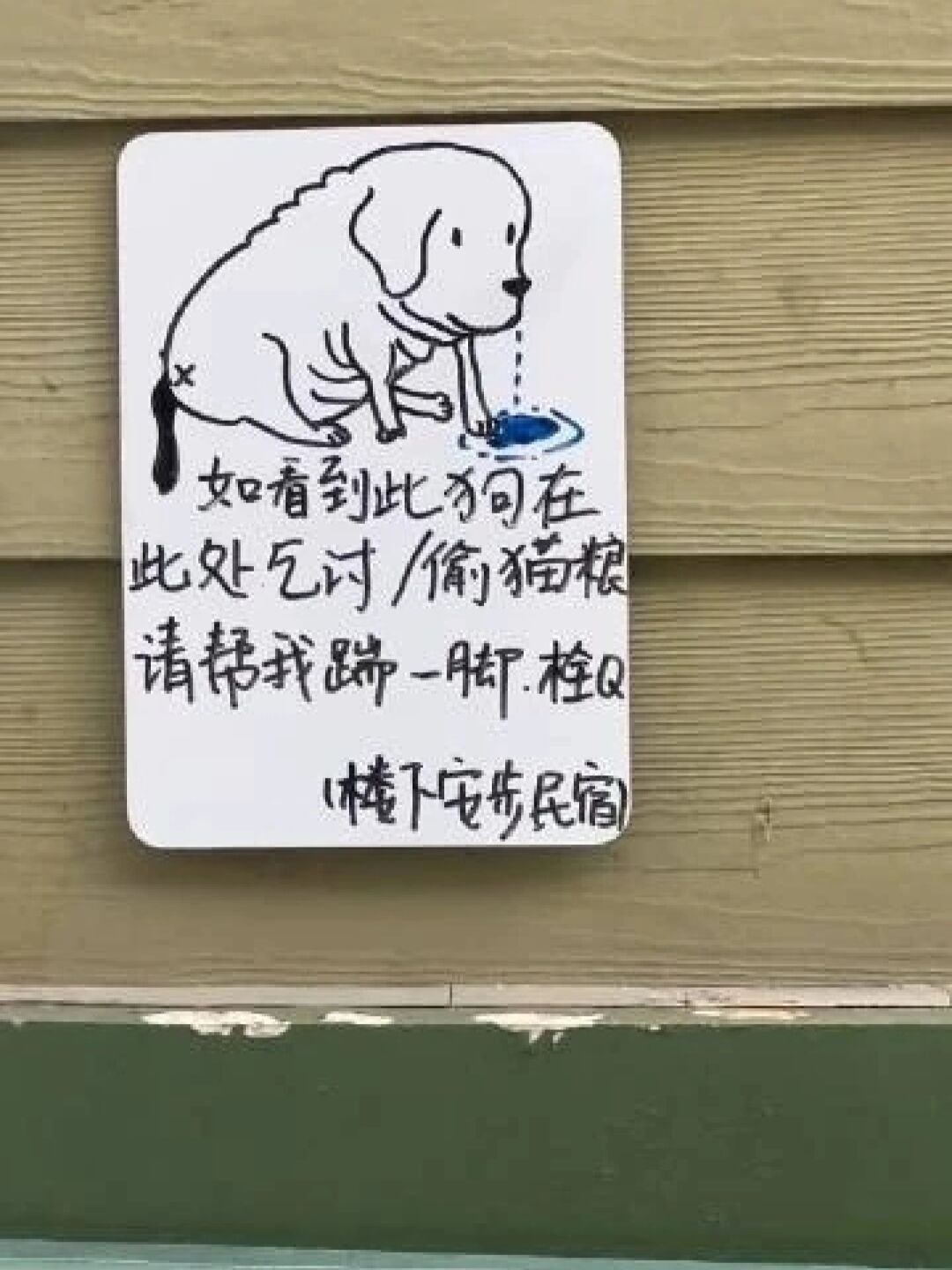 但凡有个幼儿园文凭也不至于被踹 ​​​