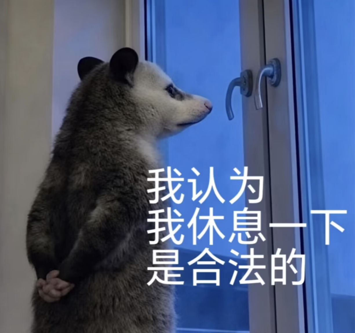每到周五就有种已经放假了的感觉周五不摸鱼等于白上 