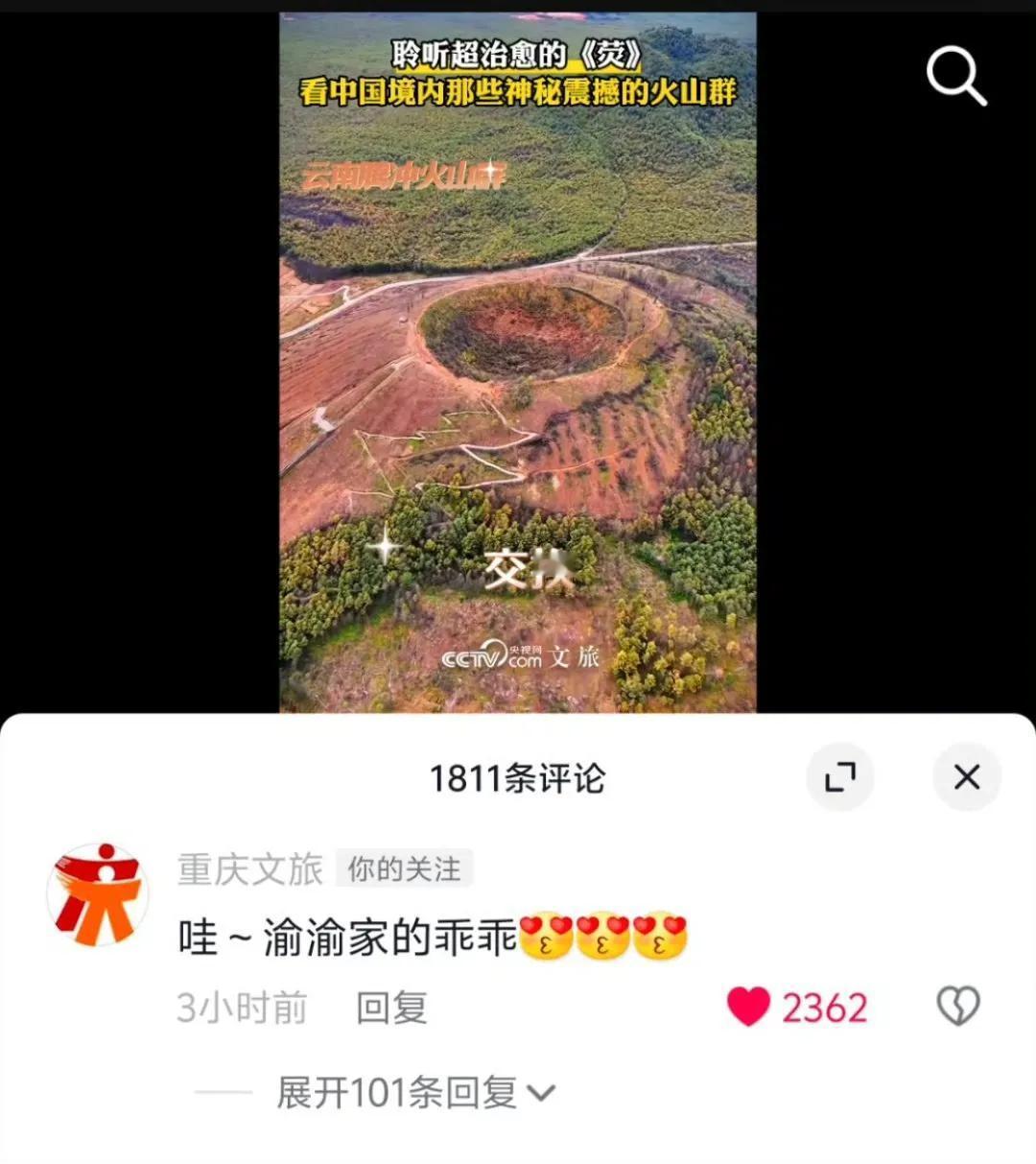 哈哈哈，在这个欢乐的大家庭里，渝渝串得有点高[大笑]，没办法，自家崽儿太优秀，是
