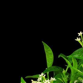 接受失败等于回归真实的自我，接受失败等于打破完美的面具，接受失败等于放松自己高压