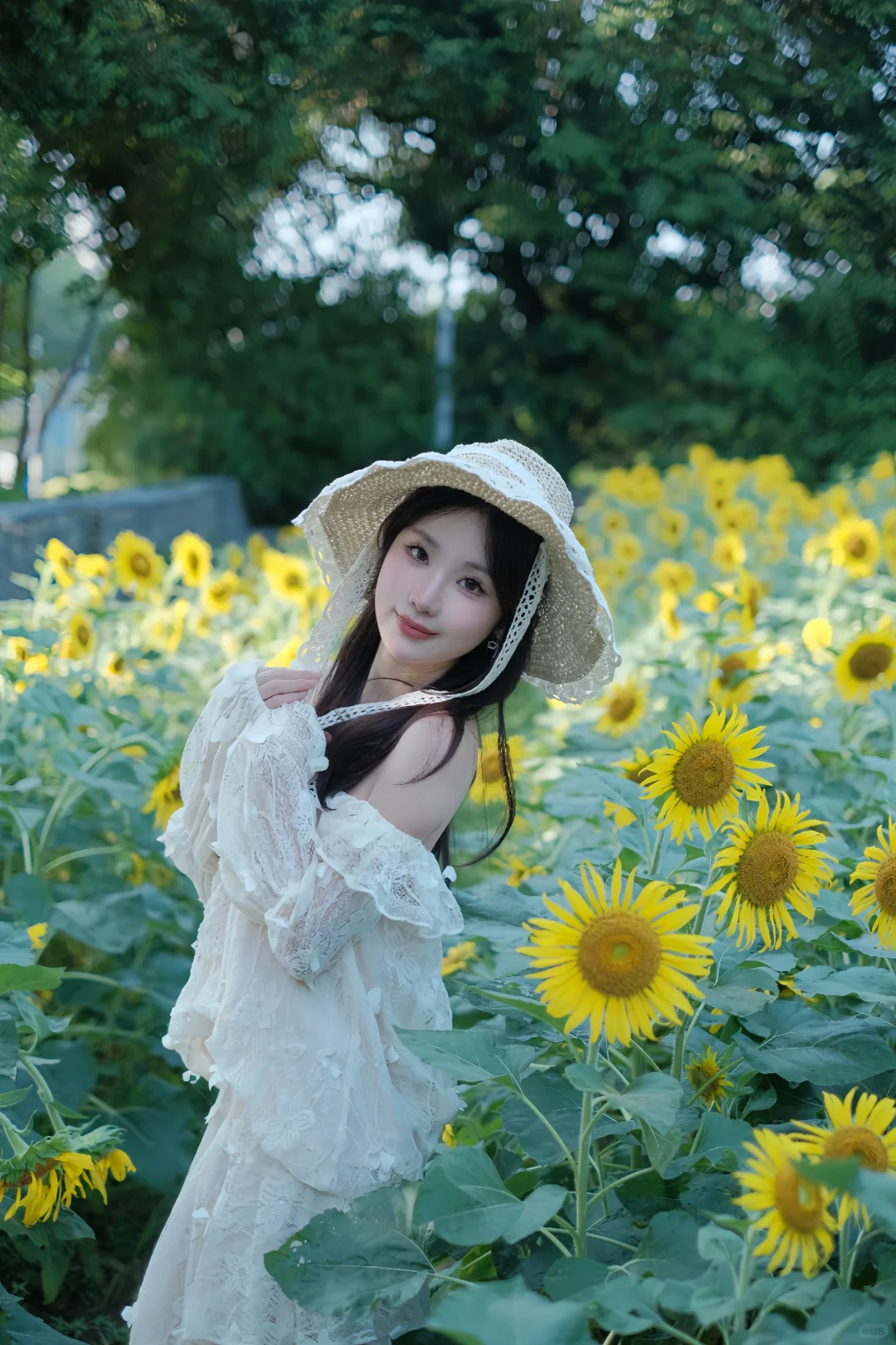 🌻喜欢每个有阳光的日子