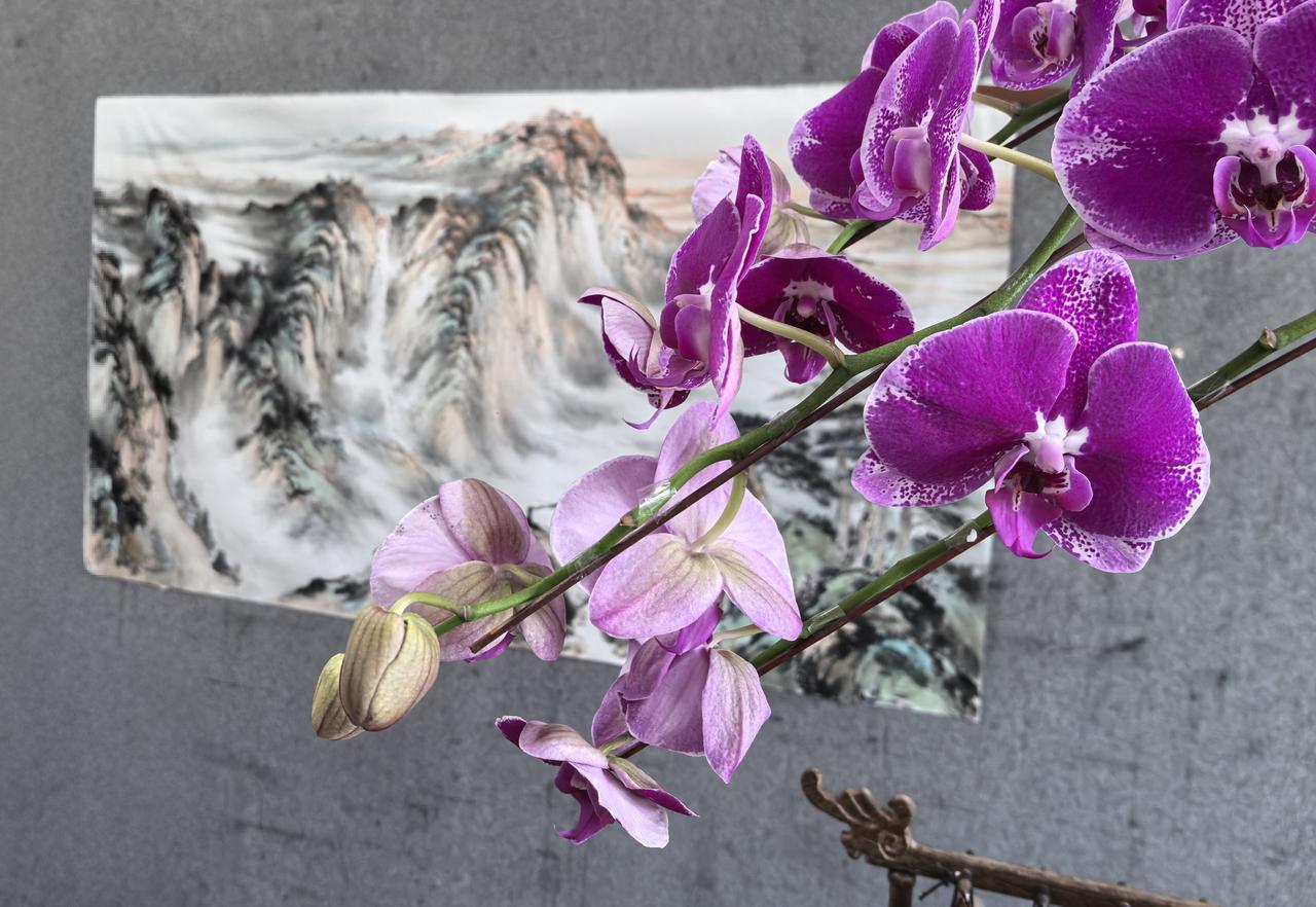 春风春雨柳含烟，
春到清明二月天。
春去春回无限意，
奈何人已非少年。
…四月您