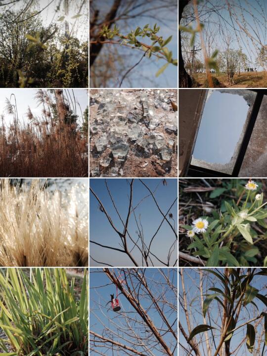 发霉日子里的阳光