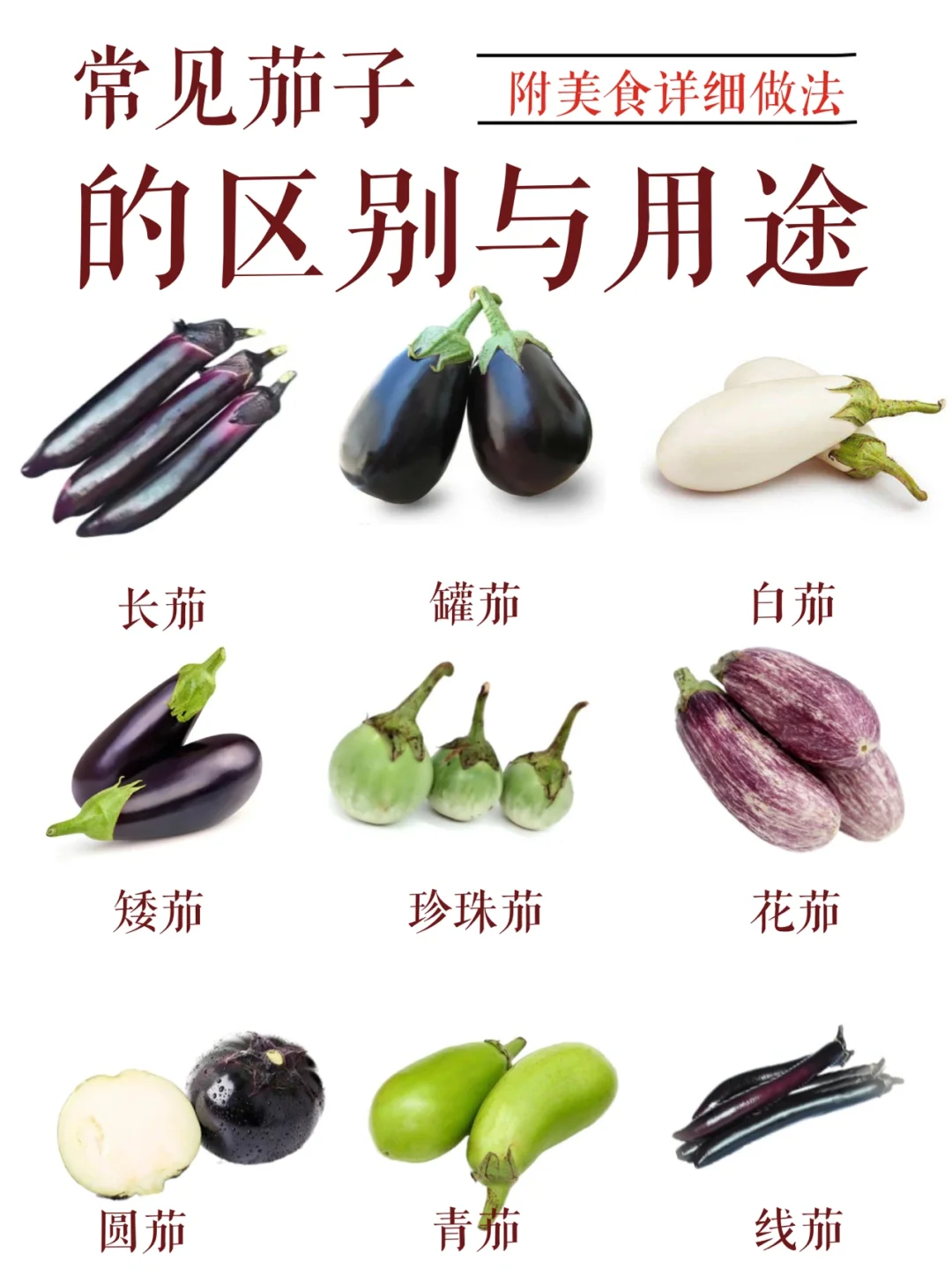 常见茄子的区别与用途|附美食详细做法❗️