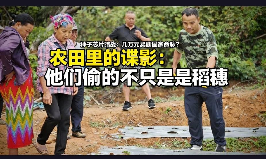 近年来，境外间谍频繁窥探我国粮食基因数据，我国粮食安全面临严峻挑战。
近年来，境