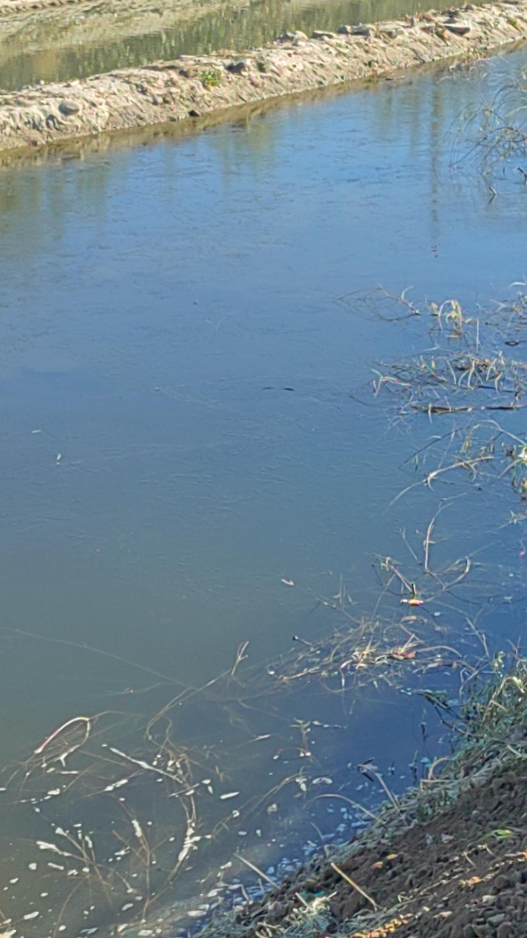 听完二蛋和小黑子叙述后，我觉得不光开挖基坑需要放线，还是弹二次结构线我都要卖力去