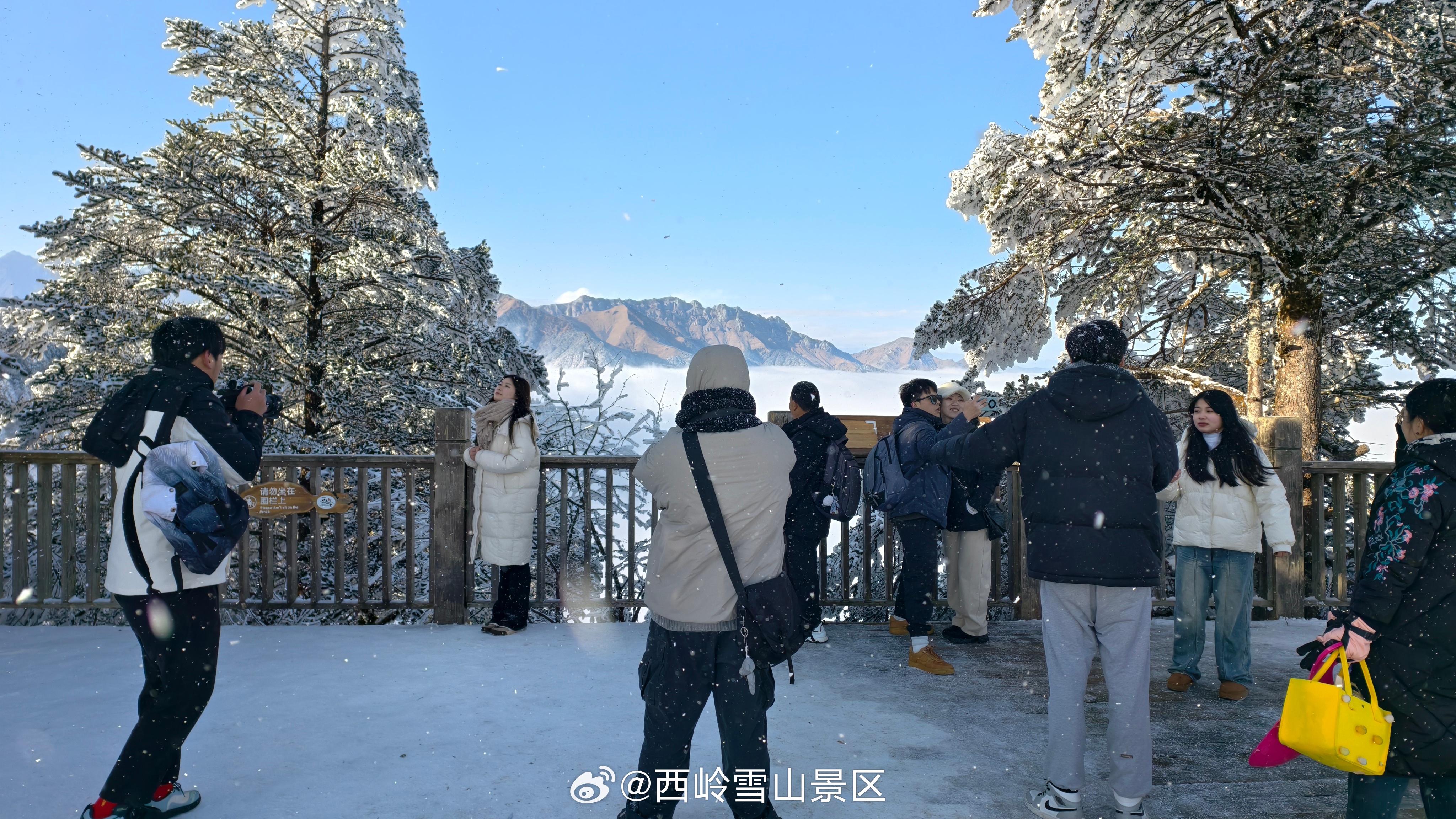 雪景如画，心亦随之宁静❄️🏔️ ​​​