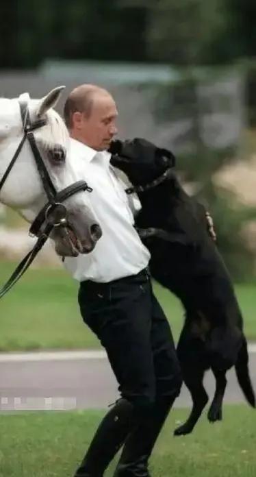 普京的“以打促谈”策略展现了他强硬而精准的手腕。

凭借战场上的绝对优势，他不仅