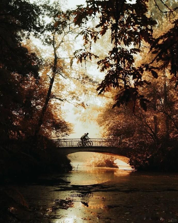 灰调是城市的底色，冷光是情绪的滤镜。以曲线重构空间，让光影叙事流淌。每一个驻足与