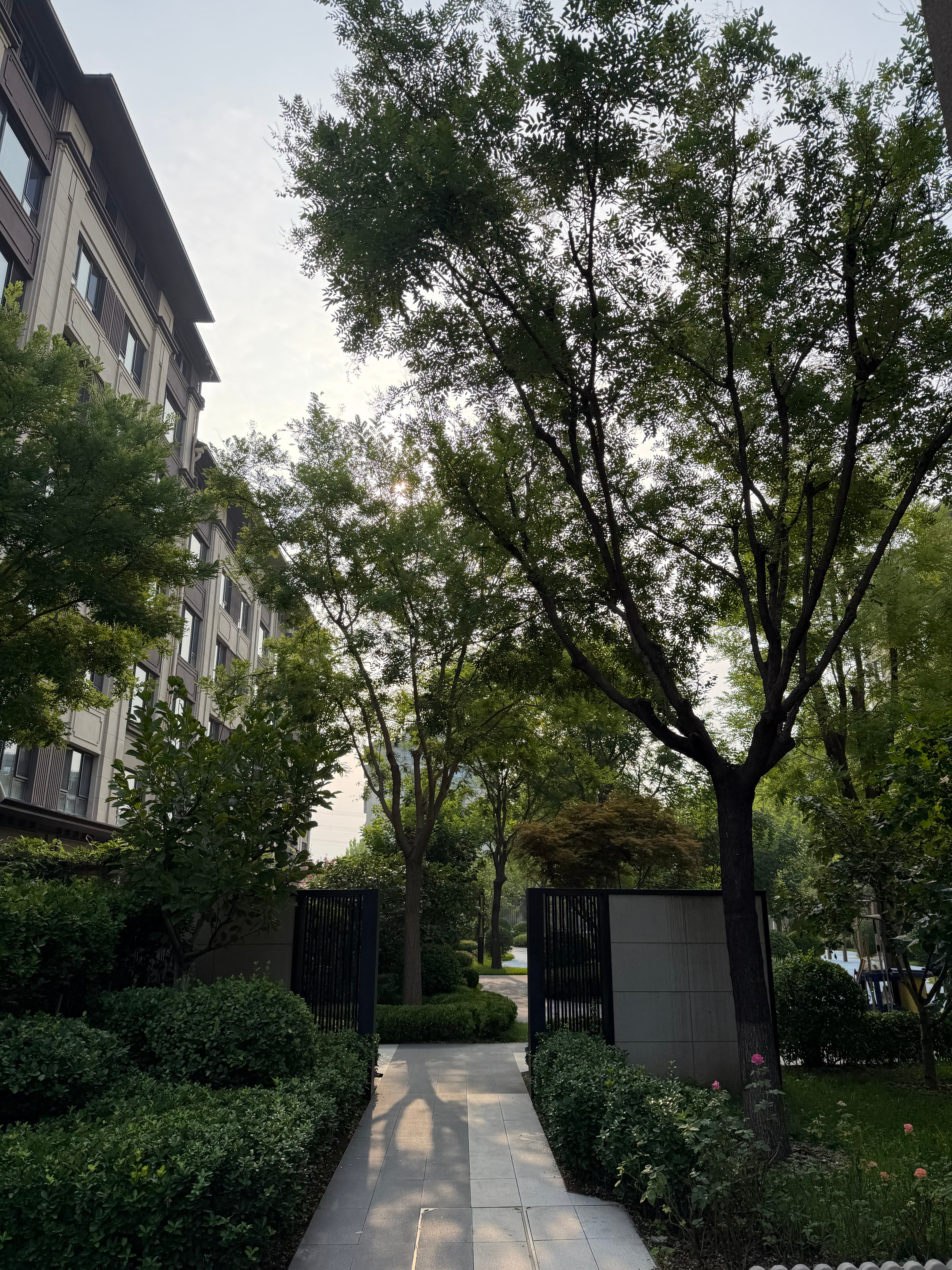 “自我管理应该从时间管理开始。时间管理应该从起床时间开始管。 