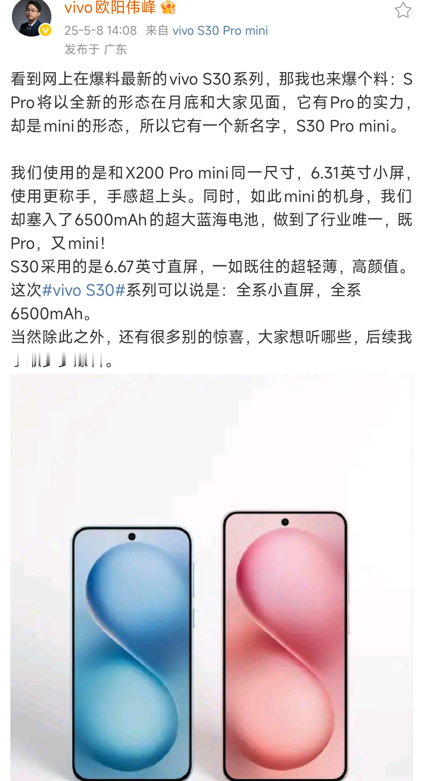 这波操作如果，vivo S30Promini做成大杯小屏，vivo S30小杯大