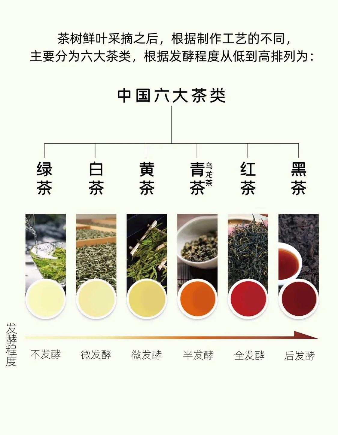 茶小白爱茶人必看：中国六大茶类科普
