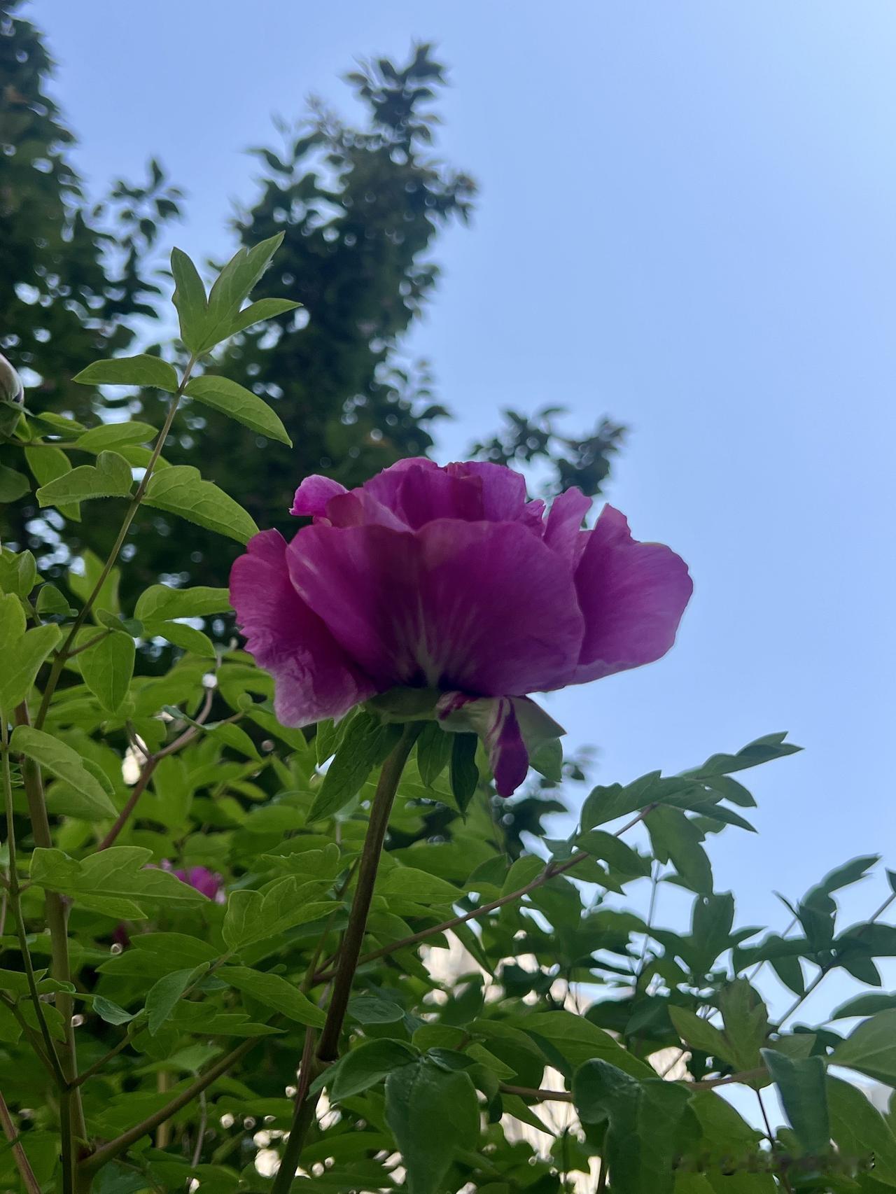老了就好好过日子，读书学习给自己找一种新的乐趣。日常生活里，可以学一道新菜，在厨