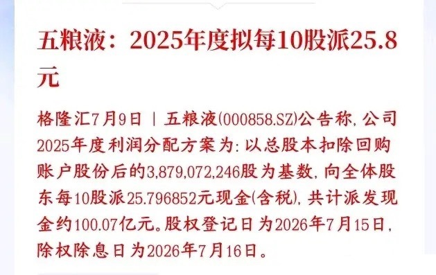 白酒板块开始自救了，龙头五粮液百亿分红五粮液敲定2025年分红方案：剔除自家回购