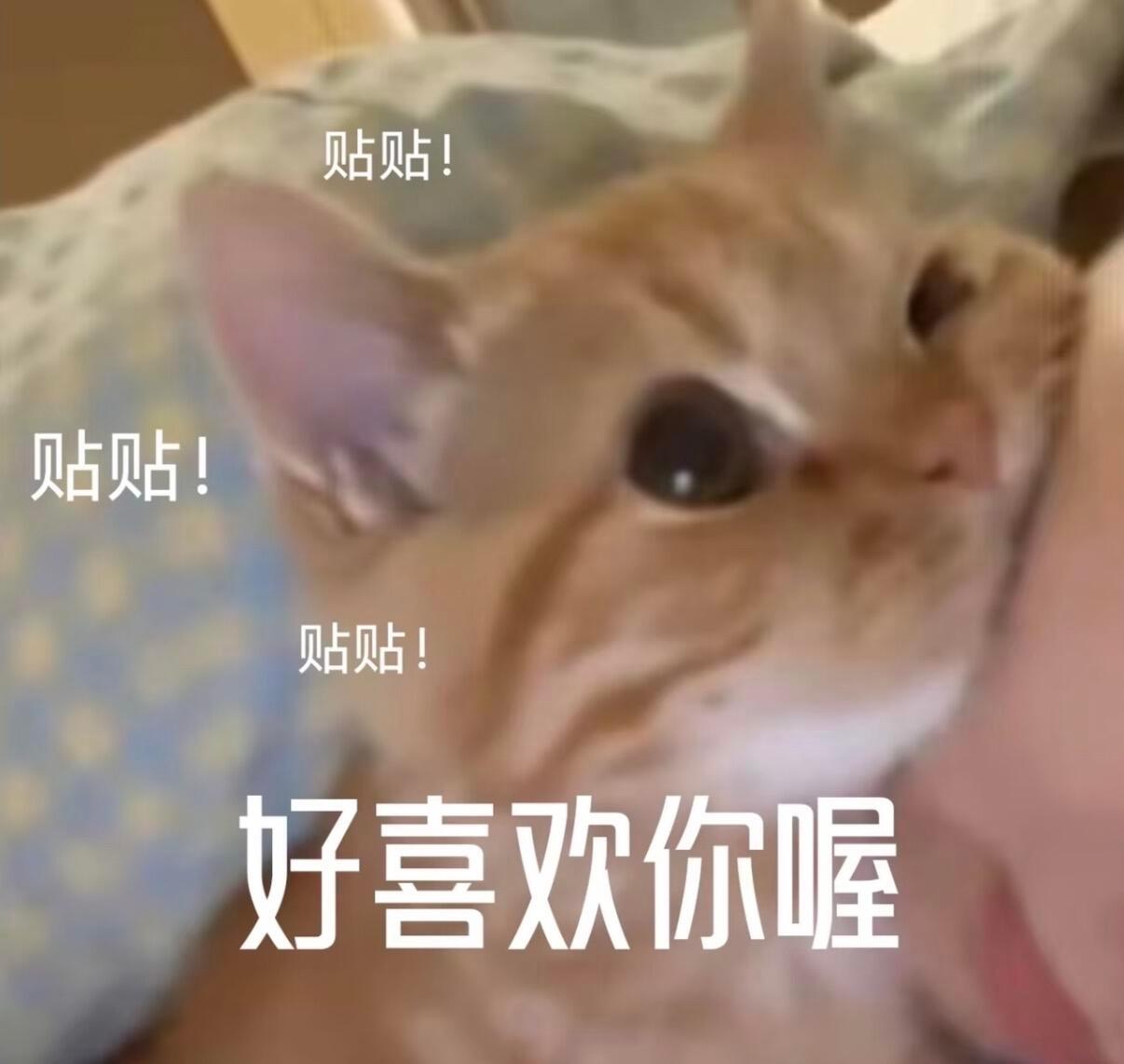 还有十一天