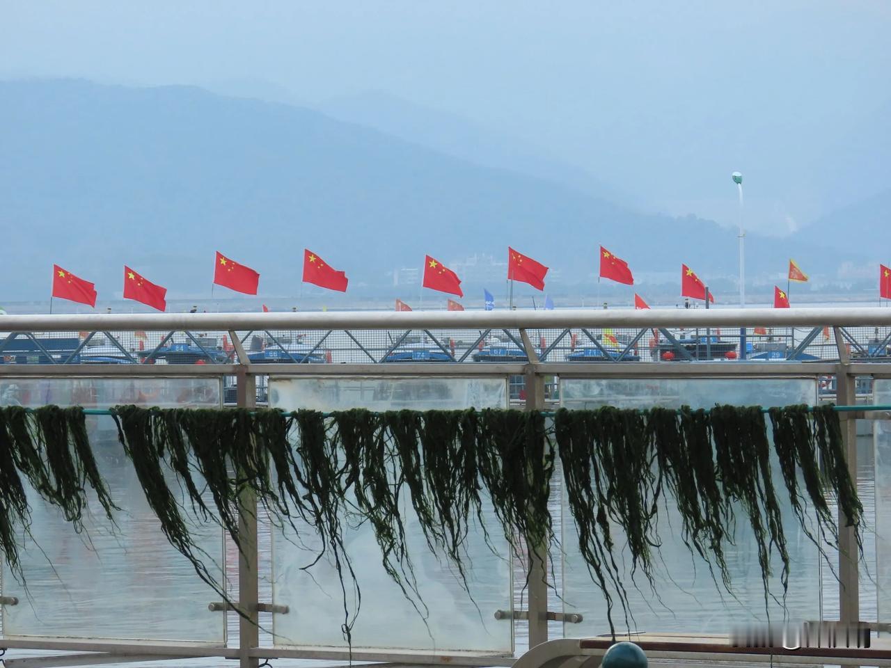 红旗招展，碧海蓝天，山峦叠嶂，渔港晒海苔。宁海强蛟