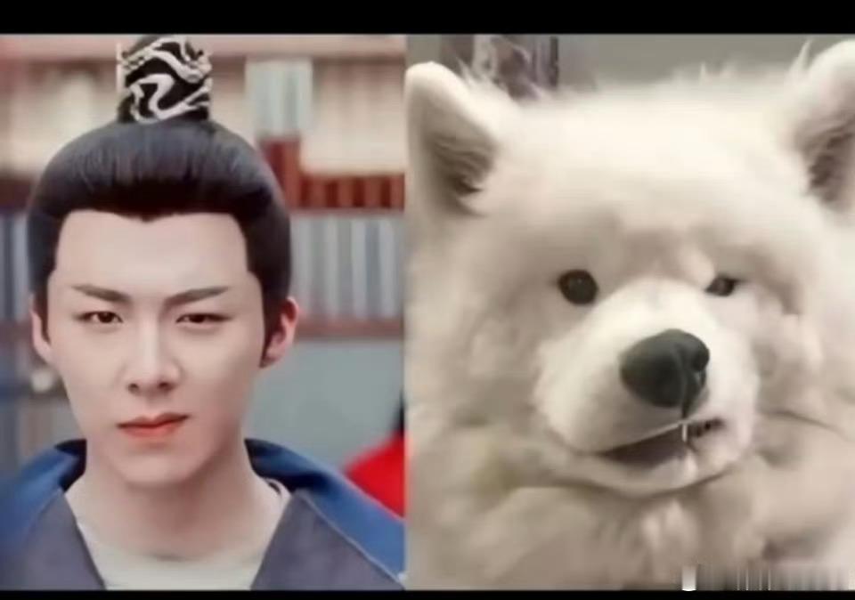 对不起，每日坑哥哈哈哈哈哈哈哈