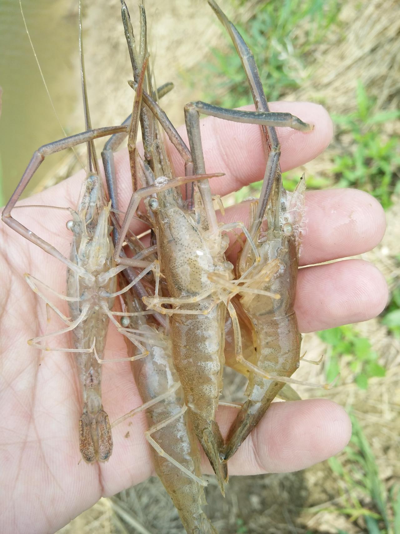 很多时候，人们出于各种各样的目的，而极力打造人设，成功的人设以及衍生开来的富有，