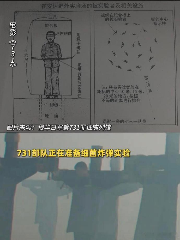 电影731母婴实验 是历史的警钟，731部队对母婴的摧残，让我们明白，唯有国家强