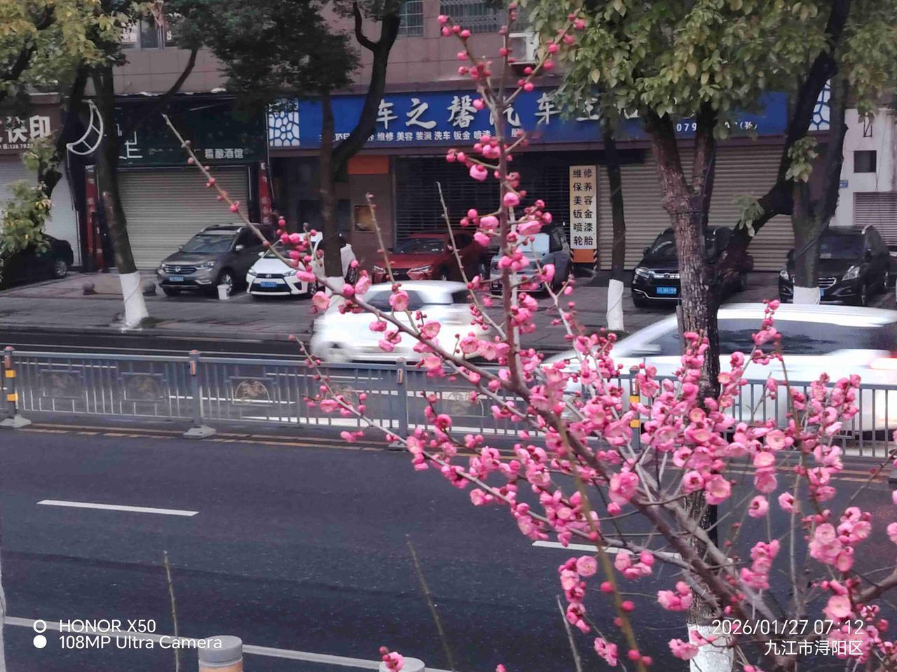 我的今日状态：😁轻松愉快
我这里的天气：🌤️多云1月27日长江岸边赏梅花