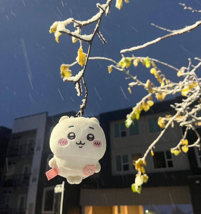 我推开了那么多人，可还是没等到你。  晚安~