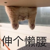 孙二热品国际