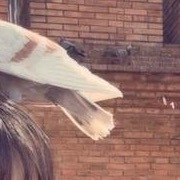 一尘不染不是不再有尘埃，而是尘埃让它飞扬，我自做我的阳光。—— 林清玄 