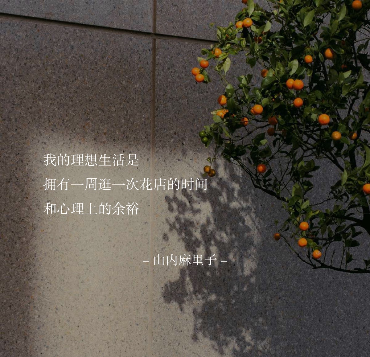 我的理想生活是拥有一周逛一次花店的时间和心理上的余裕 ​​​