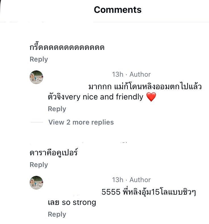 大肥狗主人：“好多啊，连妈妈都被LingOrm圈粉了。她们本人真的很友善、很亲切