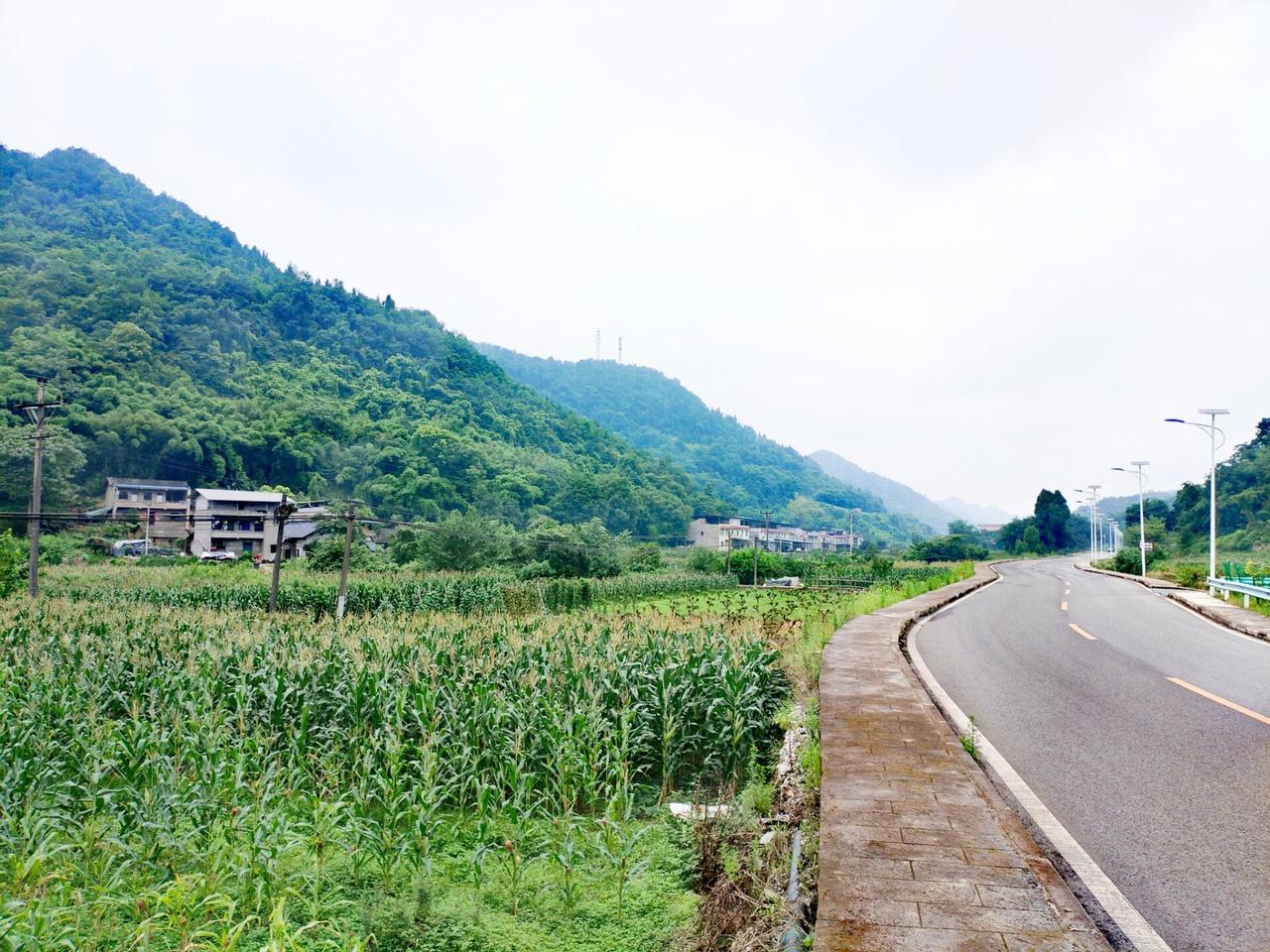 重庆市九龙坡区陶家镇树立村，坐落在中梁山脉南段槽谷内，因山上树多挺立而得名（一说