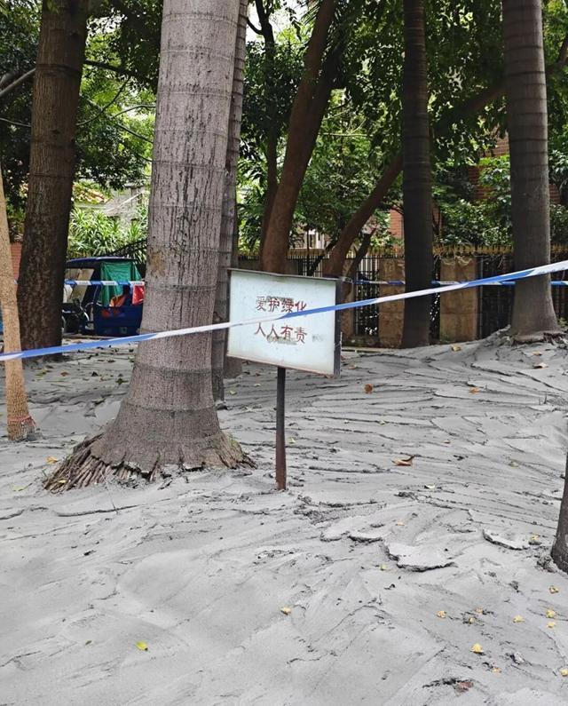 憋死树木！为美化环境将树池用水泥封死
近日，经媒体报道，广州市白云区松洲街道一处