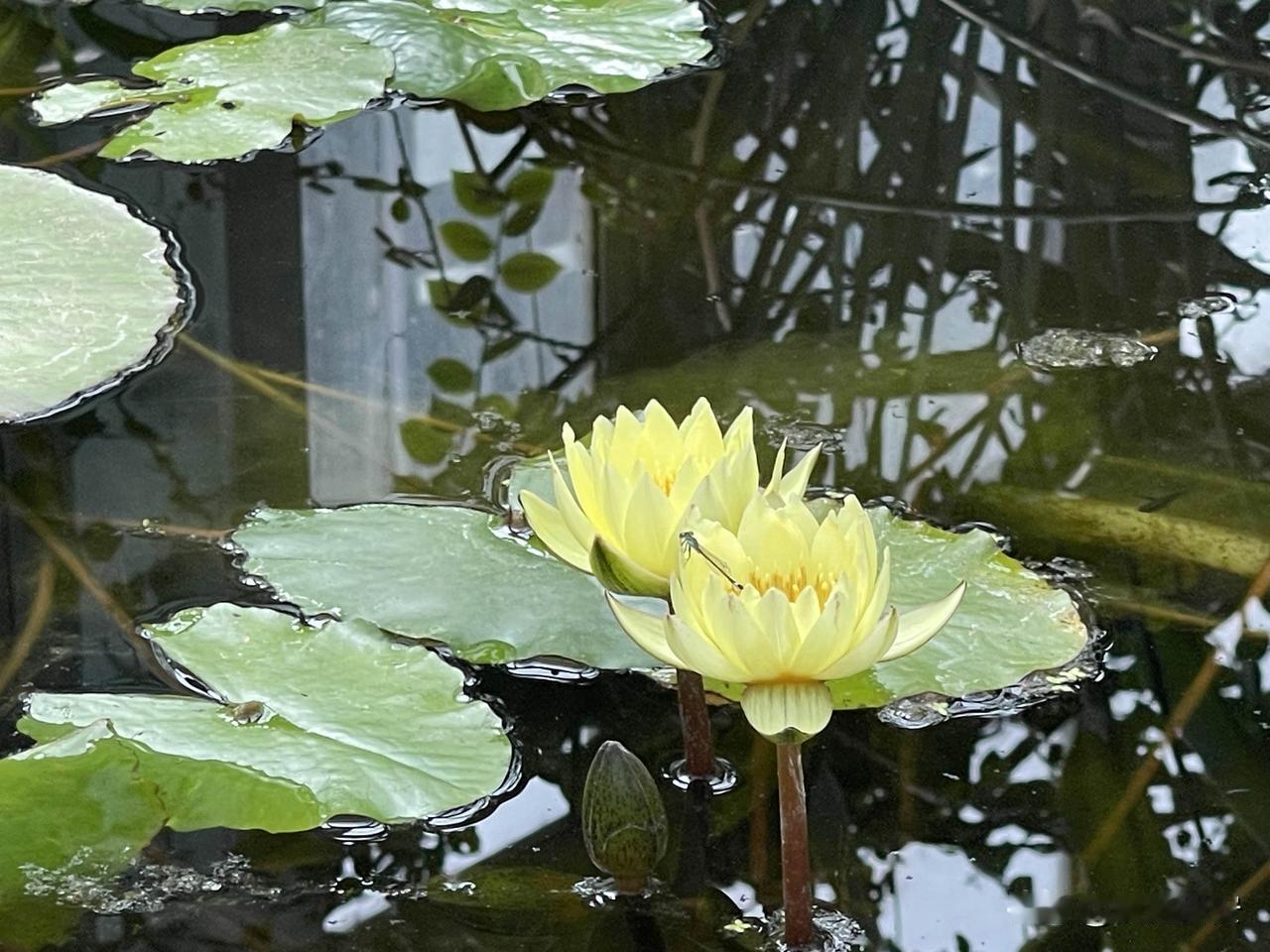 自从有了孩子，天天围着孩子转，手机相册里只有他的照片，风景不再，现在期盼着孩子快