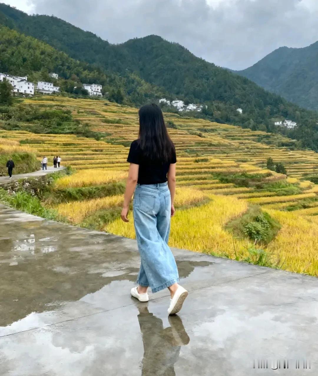 《鹧鸪天·清秋寄祝》

早倚窗棂满目秋，
金风缕缕送问候。
先祈身健长安泰，
再