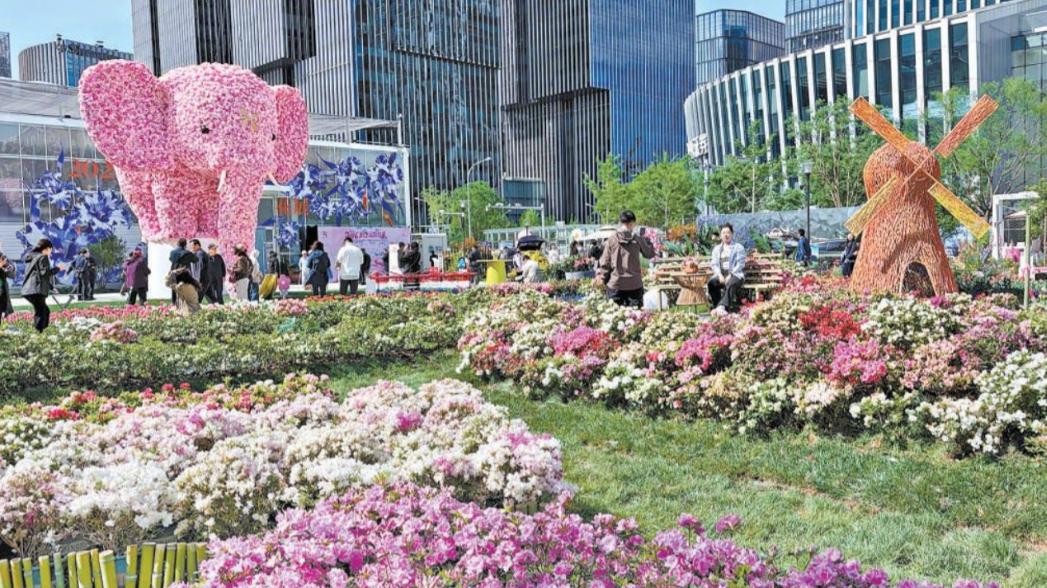 花开京城，惊艳启幕！4月28日2026北京国际花展正式拉开帷幕，这场宏大花事为期