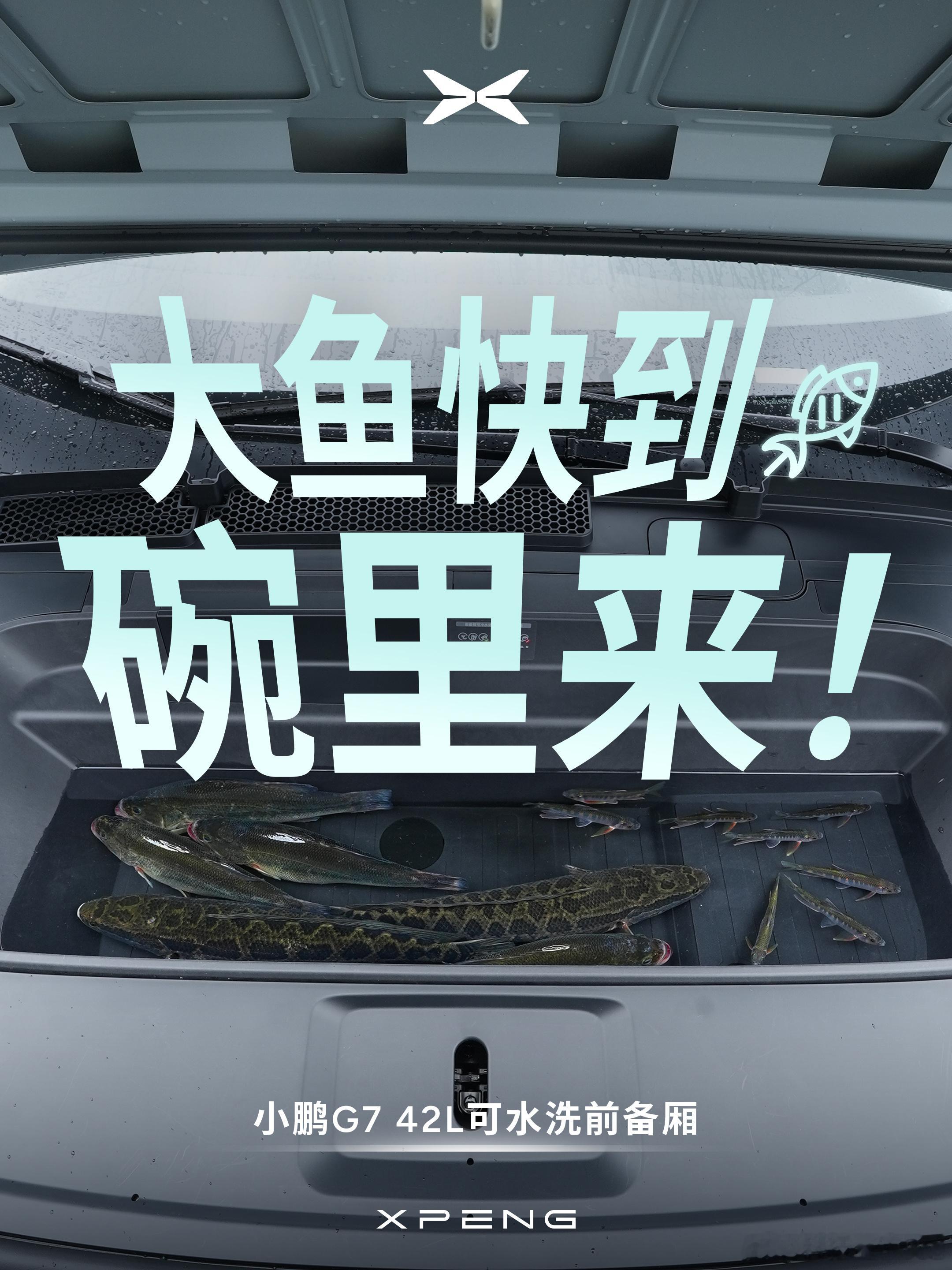 小鹏G7又装起来了，这次装的是鱼[doge]小鹏G7有个巨大的前备厢，甚至可以用